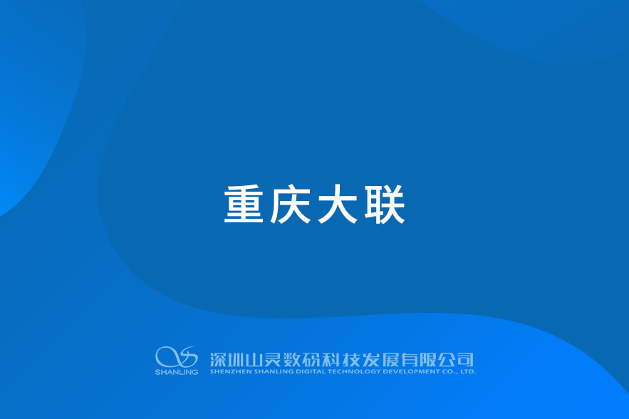 重庆大联